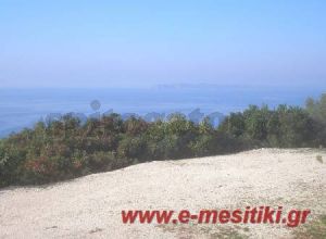 Διαμέρισμα_Πέρδικα_4068435
